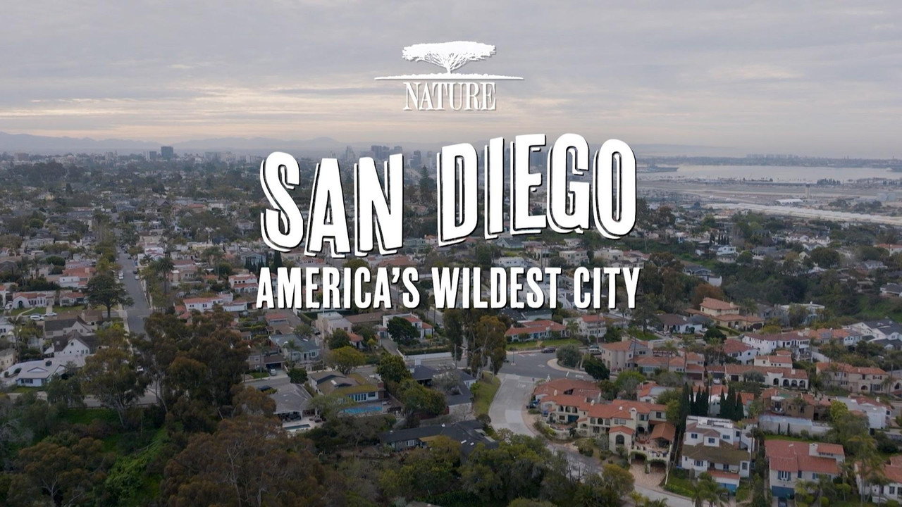 San Diego: America's Wildest City backdrop