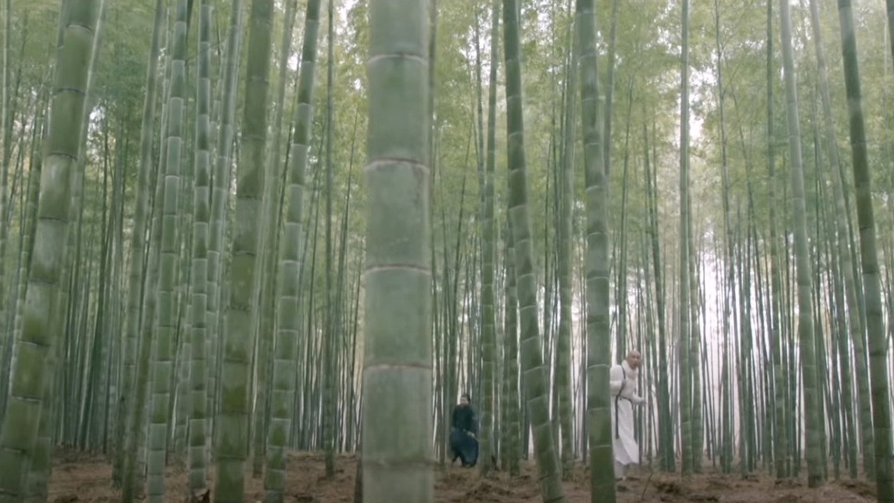 Kungfu Killer backdrop