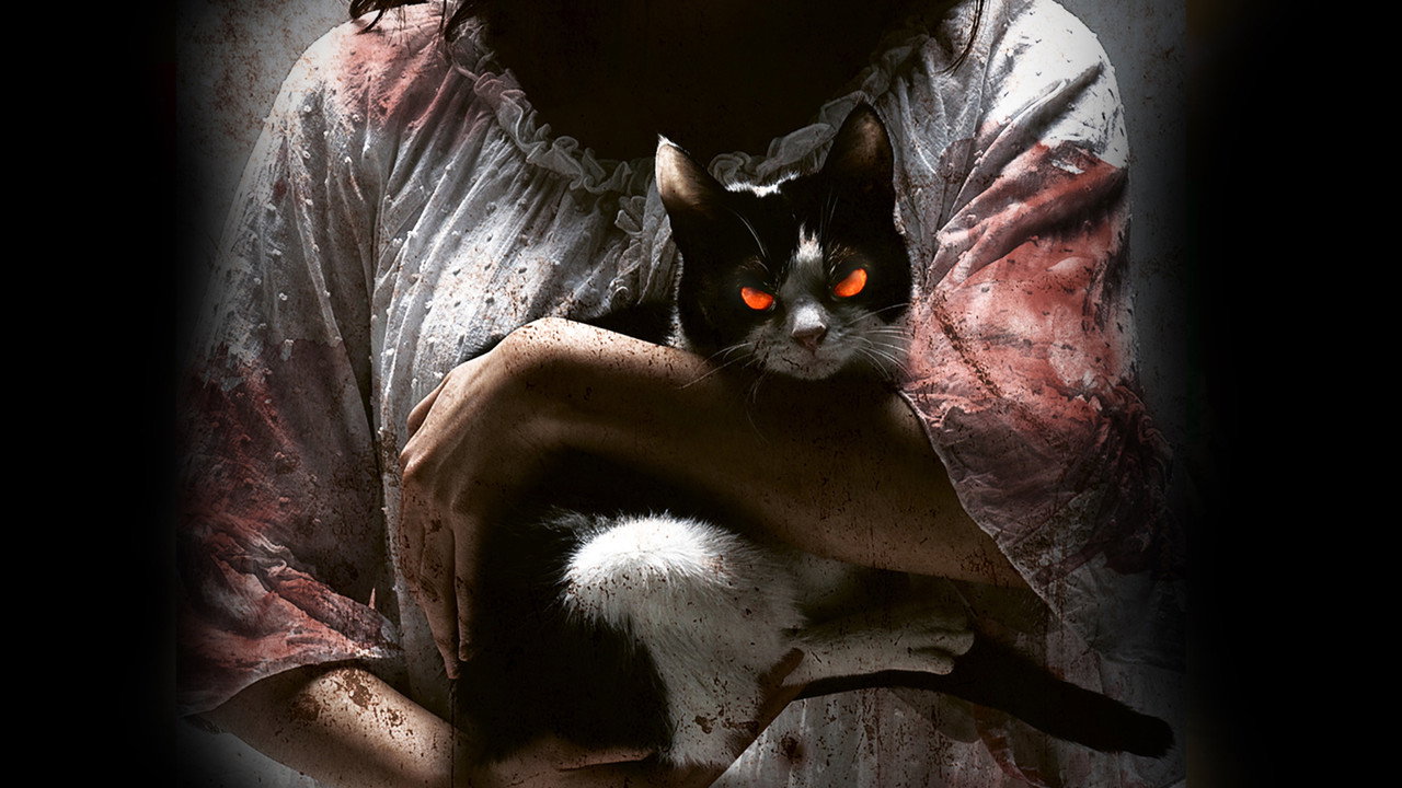 The Cat backdrop