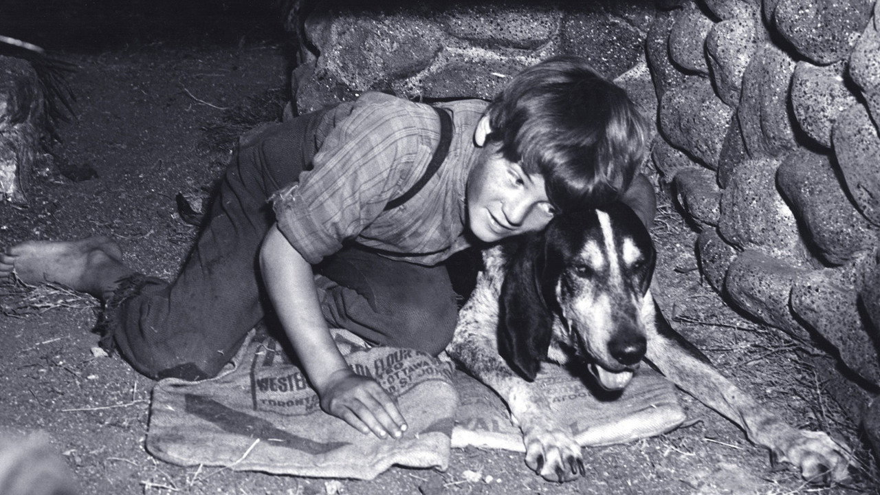A Boy and His Dog backdrop