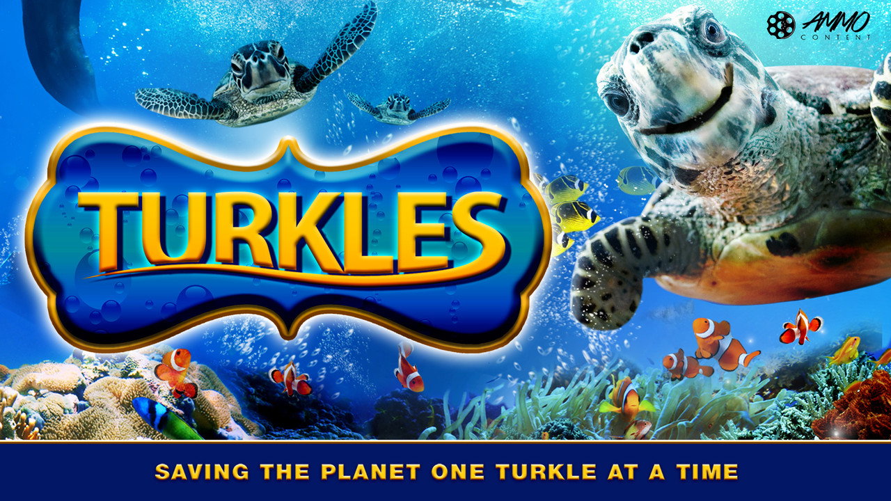 Turkles backdrop