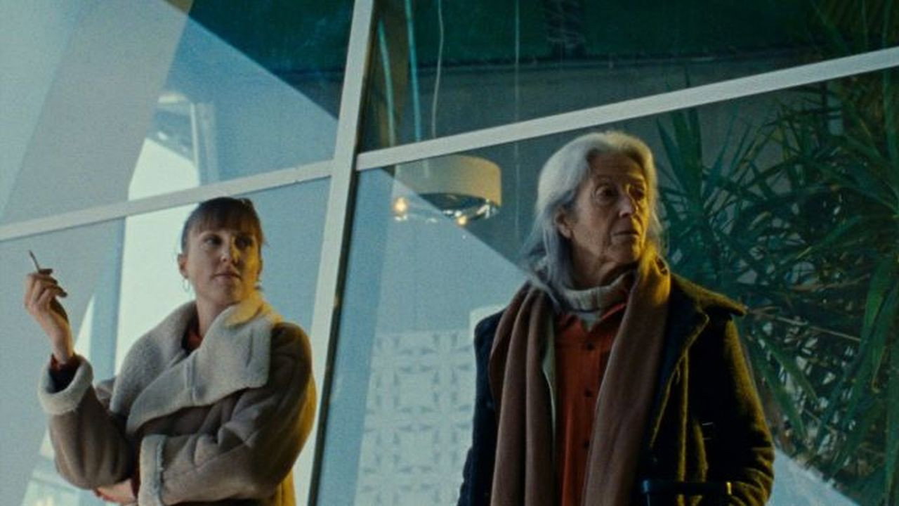 Terminal backdrop