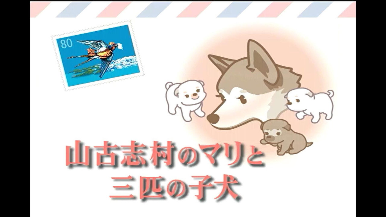 Mari and three puppies in Yamakoshi Village backdrop
