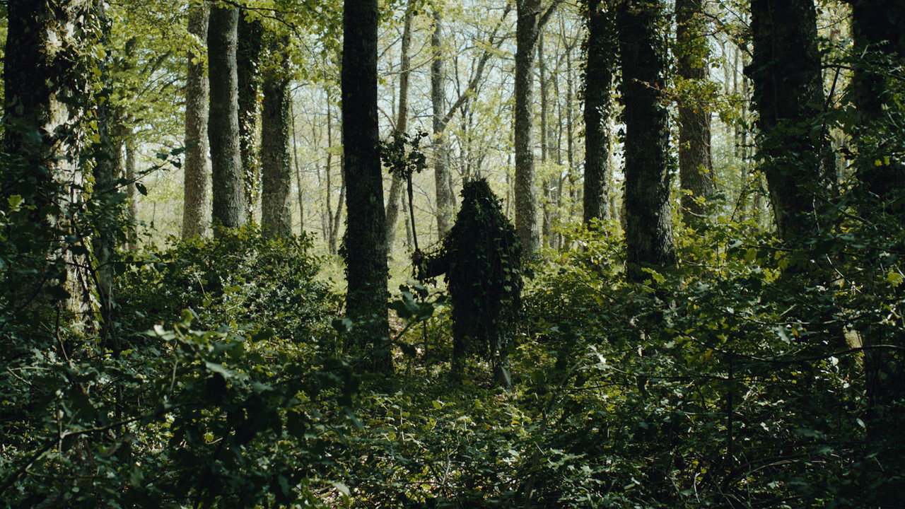 Trees backdrop