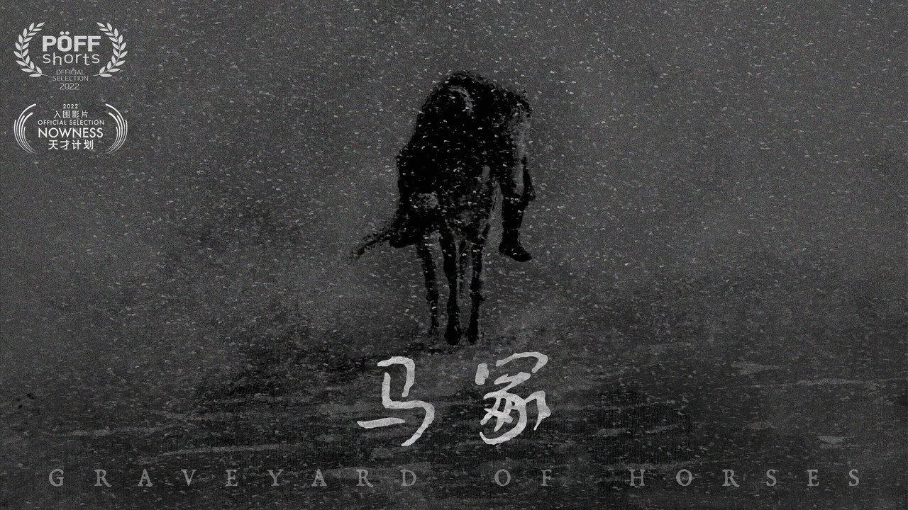 Graveyard of Horses backdrop
