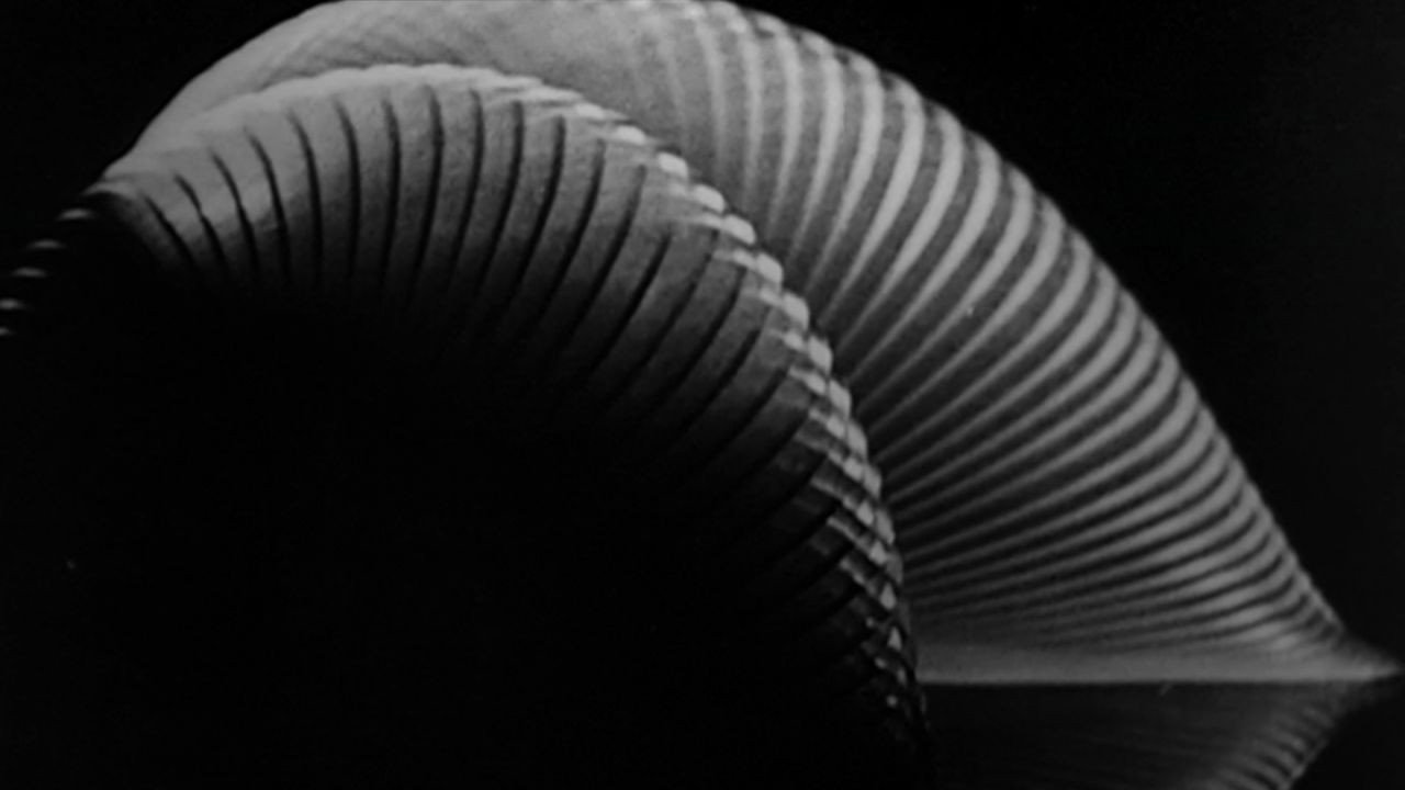 Parabola backdrop