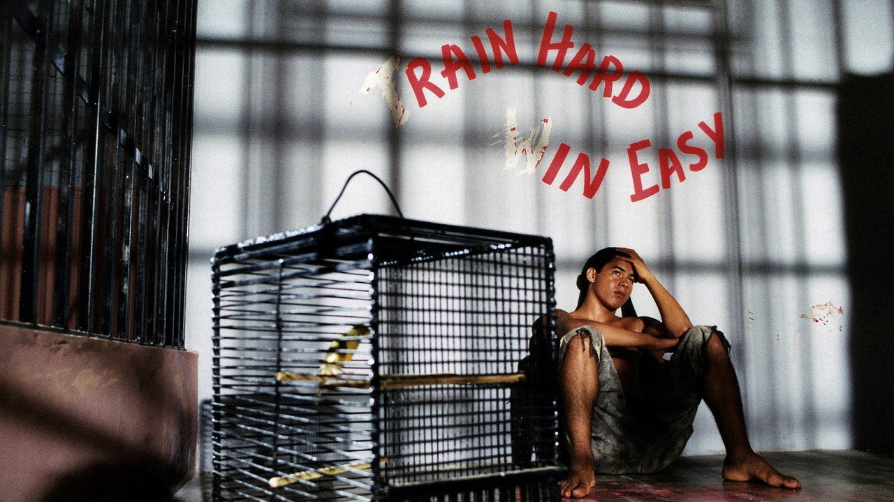 Bad Boy - Rennen am Äquator backdrop