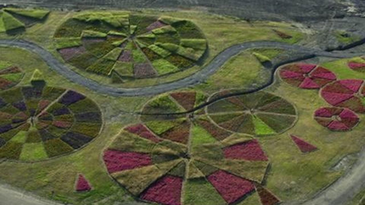 A Margem da Paisagem backdrop