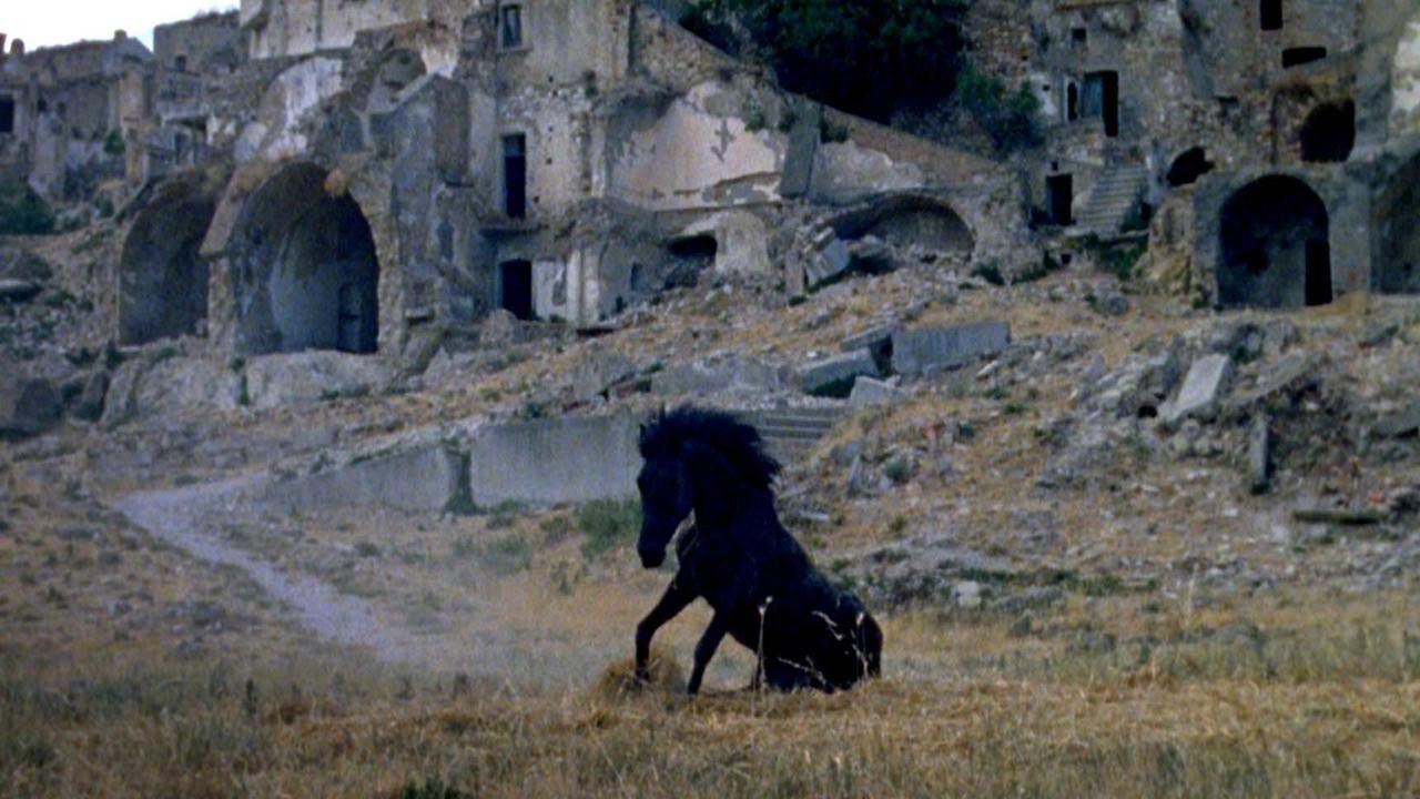 Montedoro backdrop