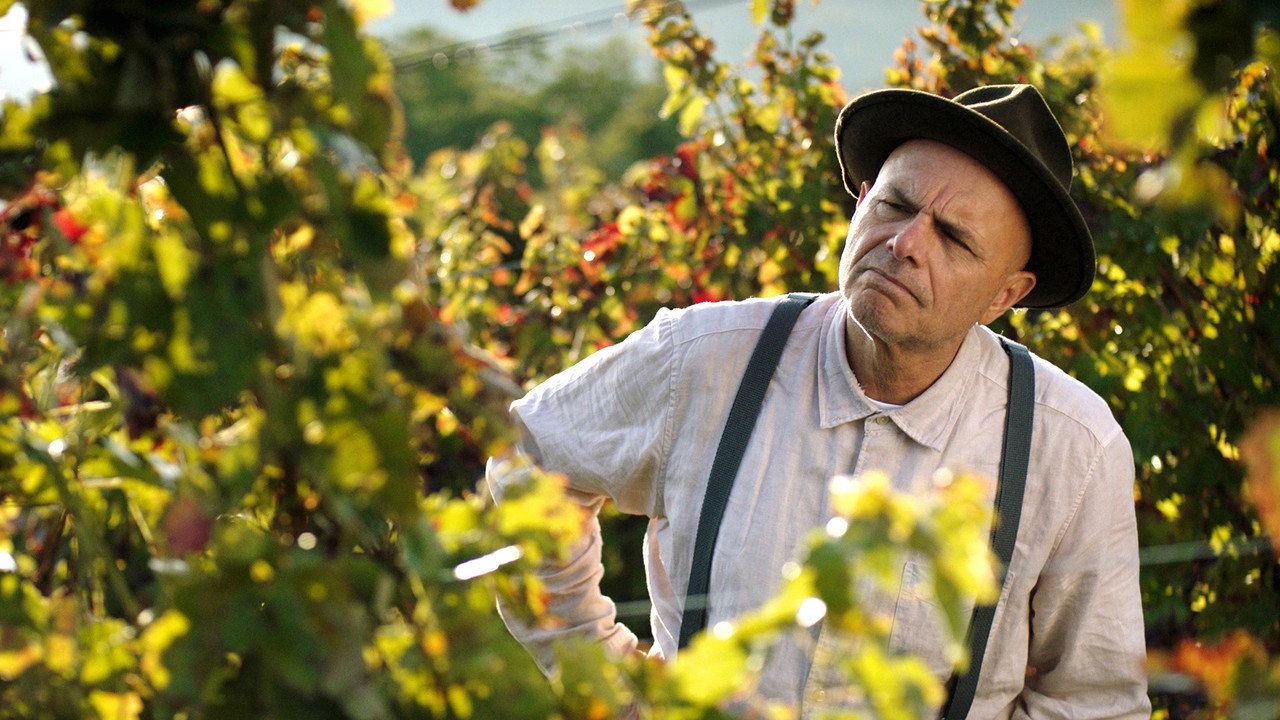 From the Vine backdrop