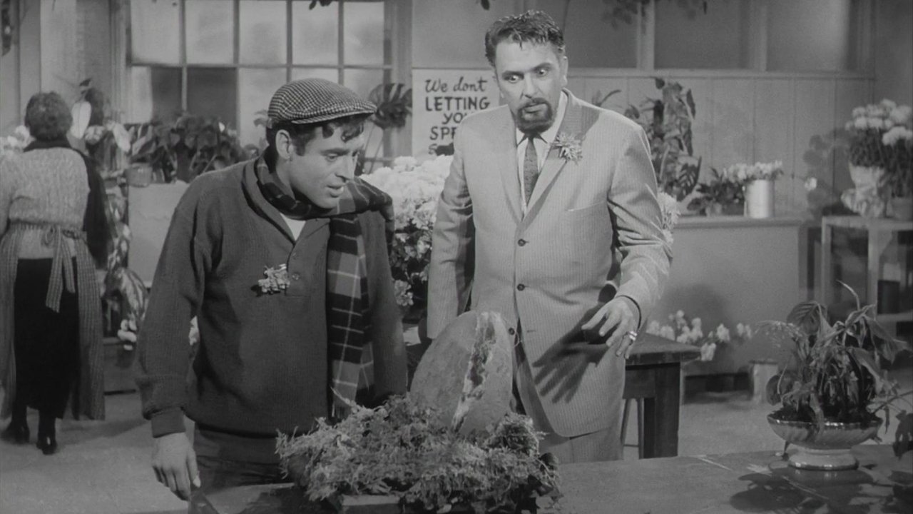 The Little Shop of Horrors backdrop