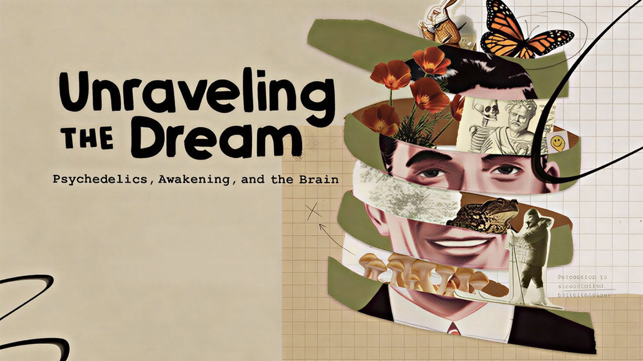 Unraveling the Dream backdrop
