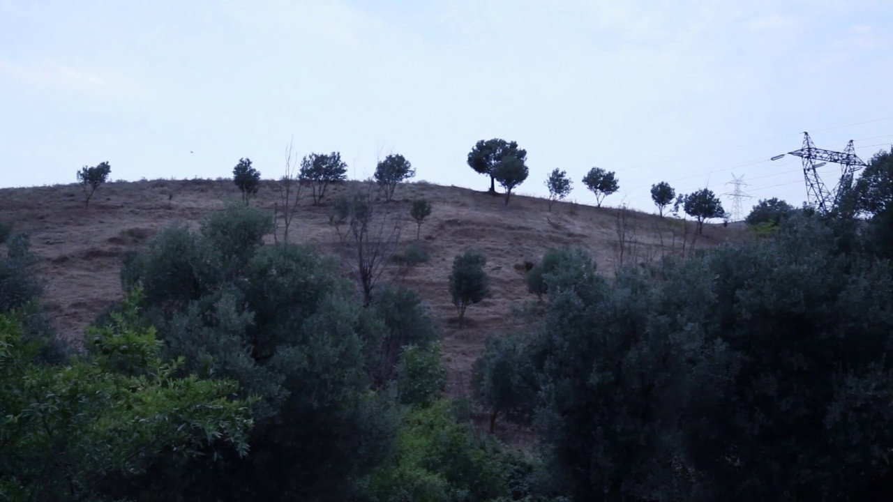 And Kiarostami Goes On backdrop