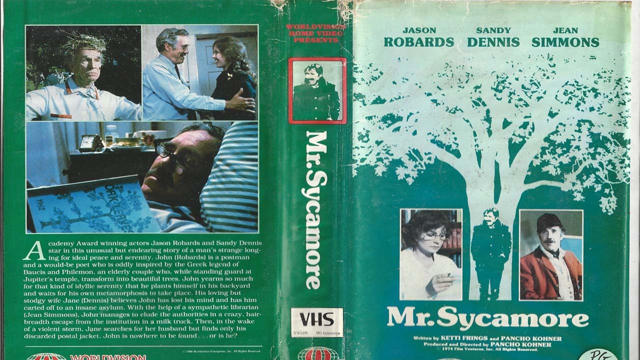 Mr. Sycamore backdrop