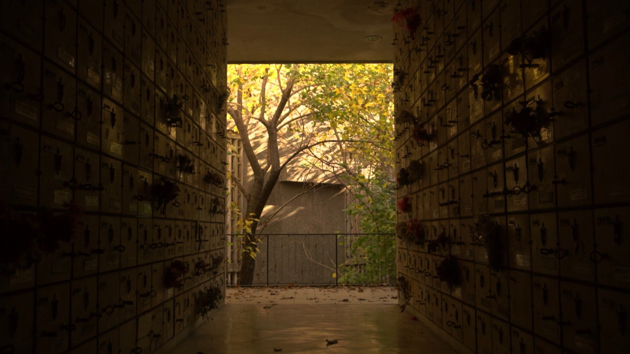 Sanctuary backdrop
