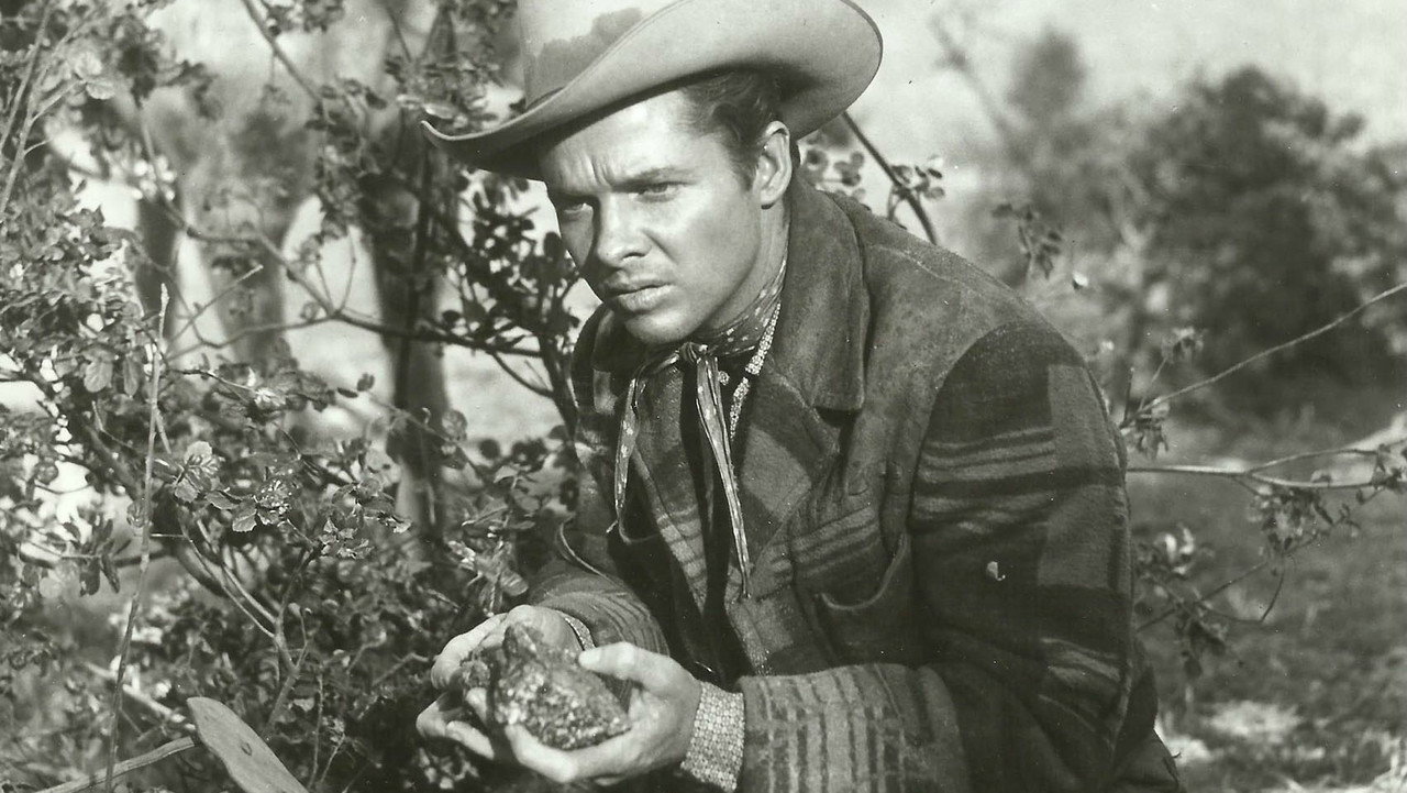 Tumbleweed backdrop