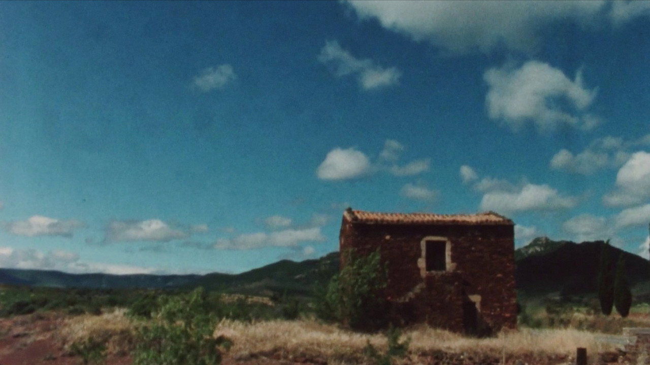Au sud backdrop