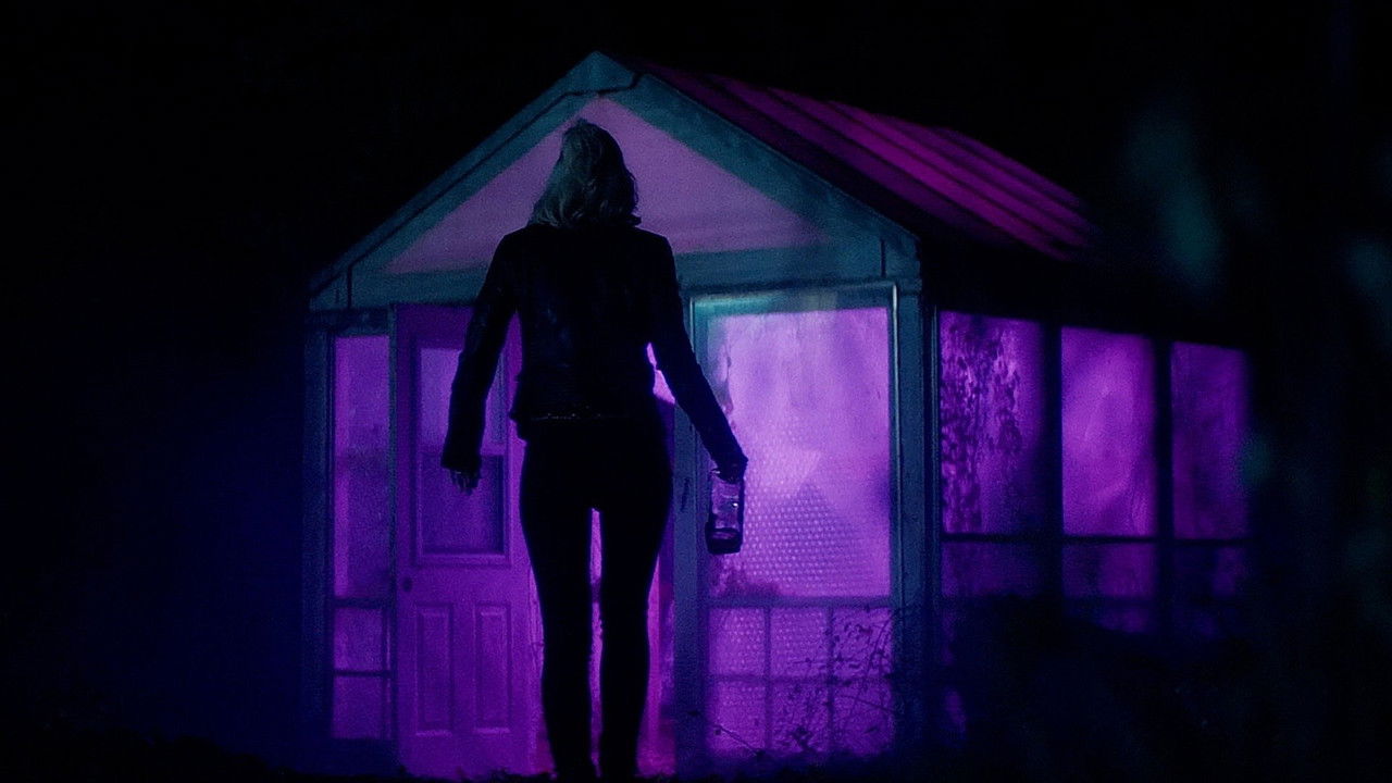 Neon Lights backdrop