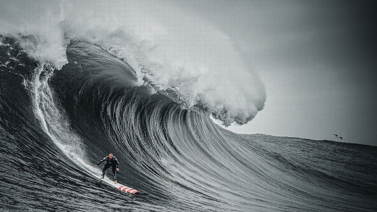 The Secret Life of Waves backdrop