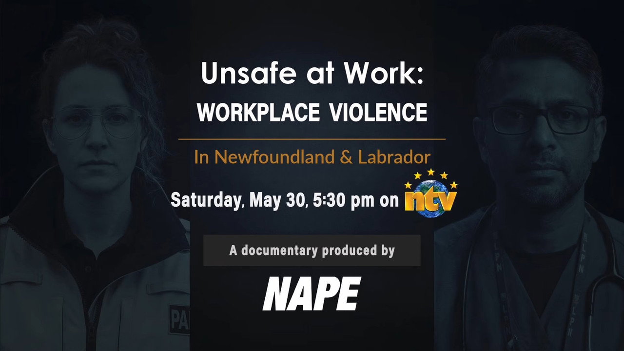 Unsafe at Work: Workplace Violence in NL backdrop