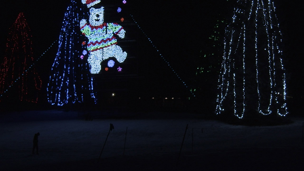 The Elephant's Present backdrop