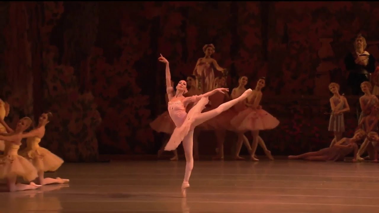 Don Quixote - Mariinsky Theatre backdrop