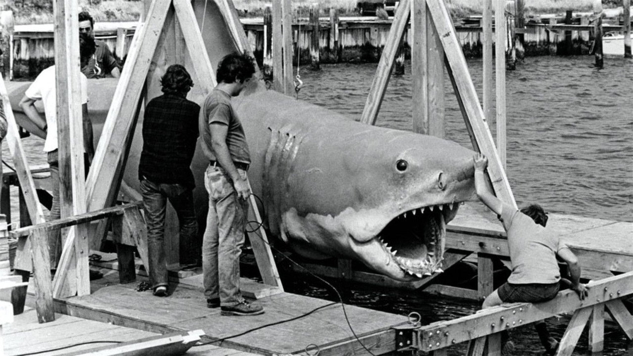The Shark Is Still Working backdrop