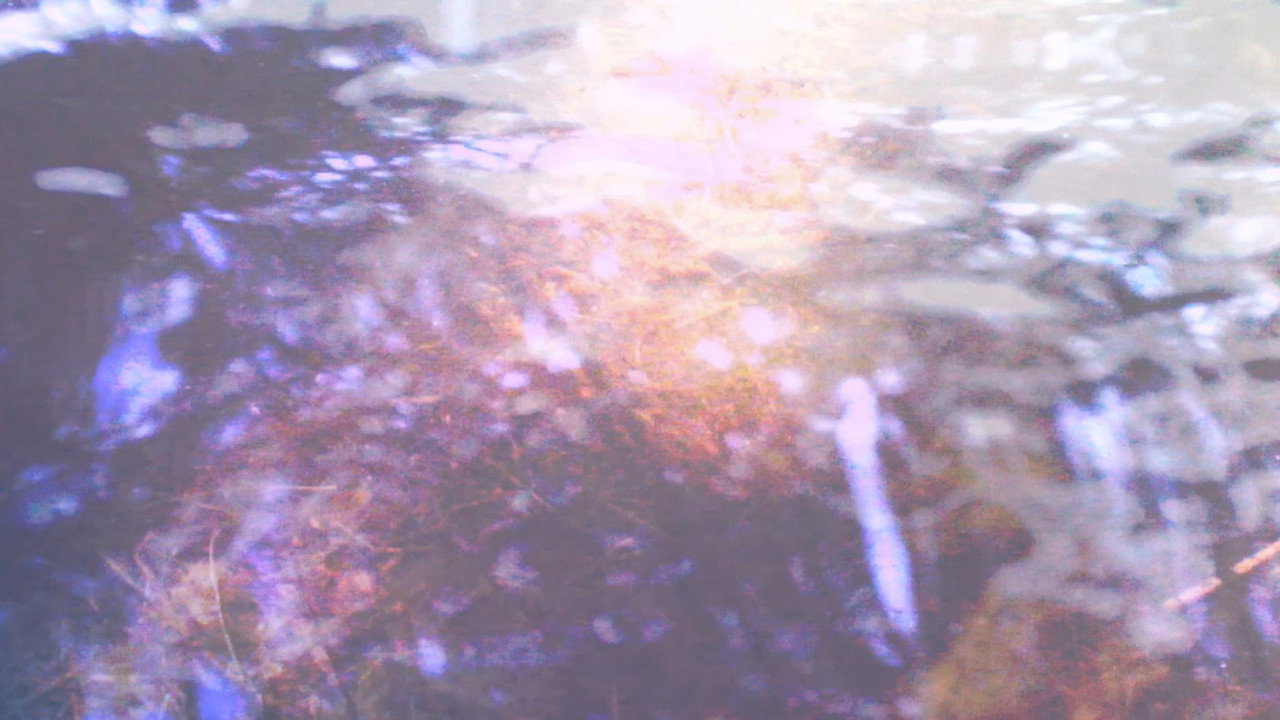 Boggy backdrop