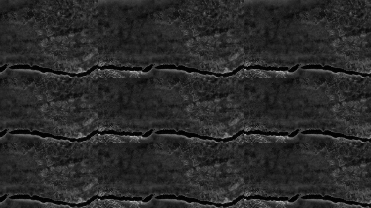 A Radical Film backdrop