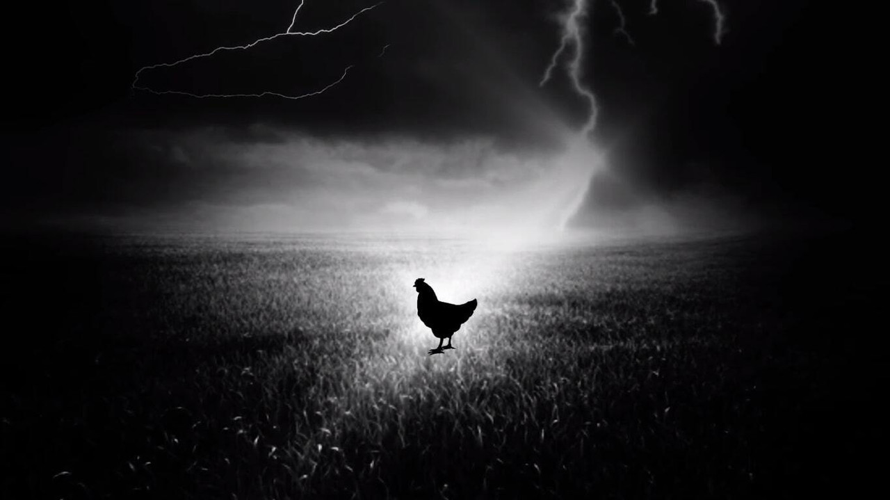 Holy Hen backdrop