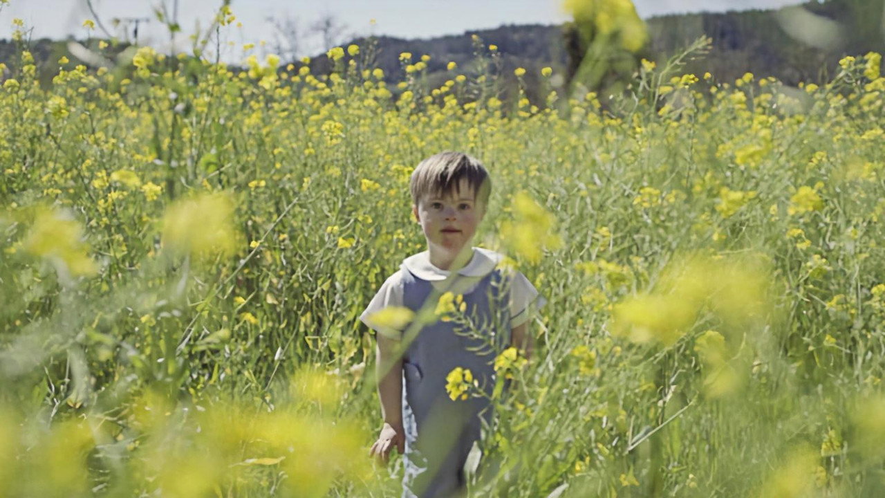 So Much Yellow backdrop