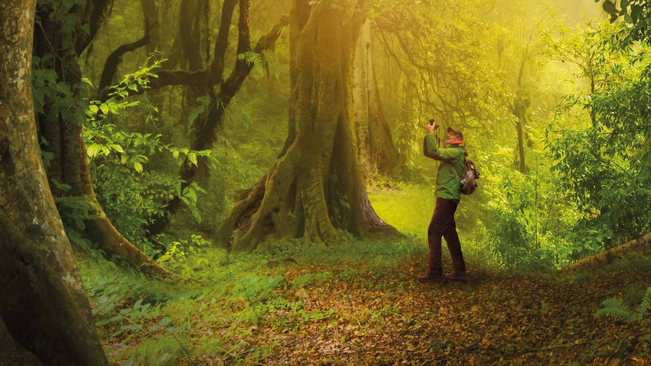 The Hidden Life of Trees backdrop