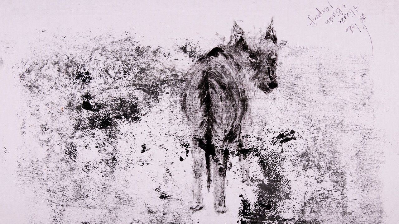 decay backdrop