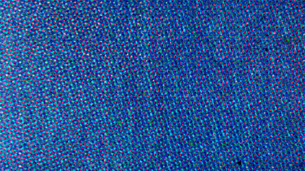 Blue Movie backdrop