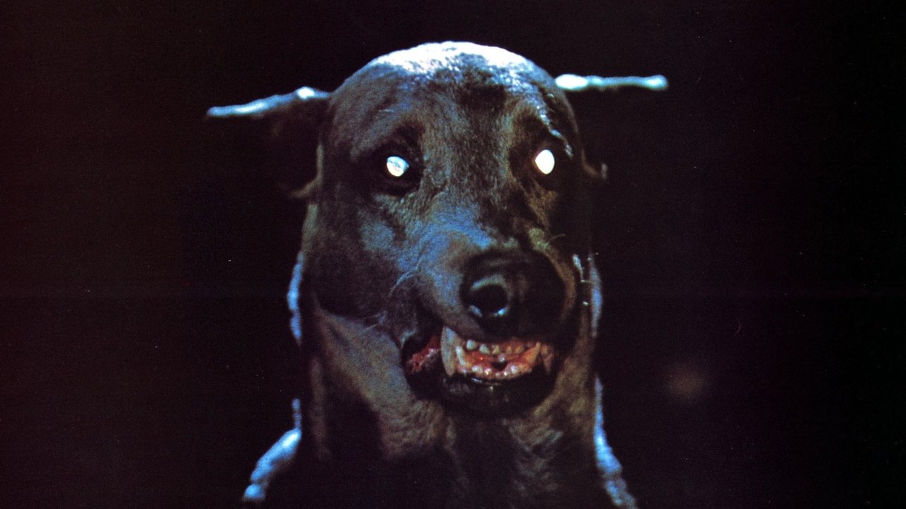 Zoltan… Hound of Dracula backdrop