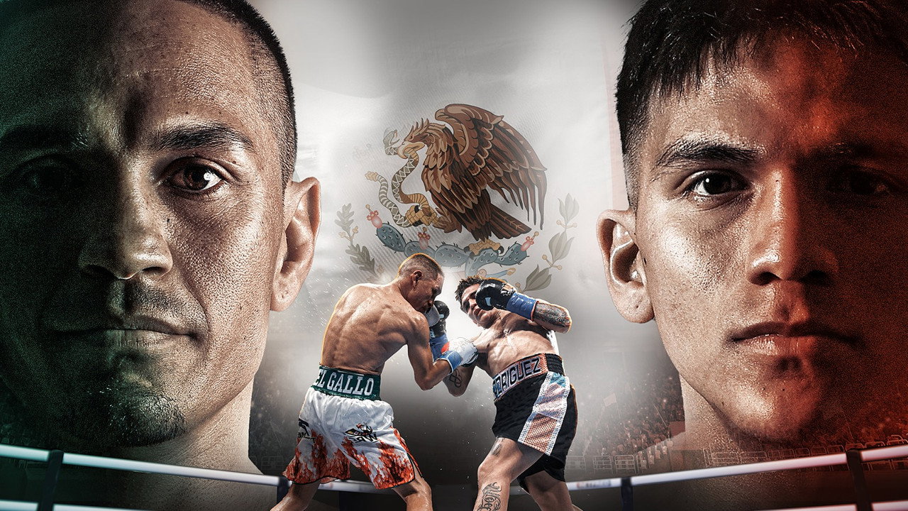Juan Francisco Estrada vs. Jesse Rodriguez backdrop
