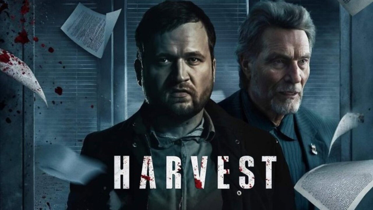 Harvest backdrop