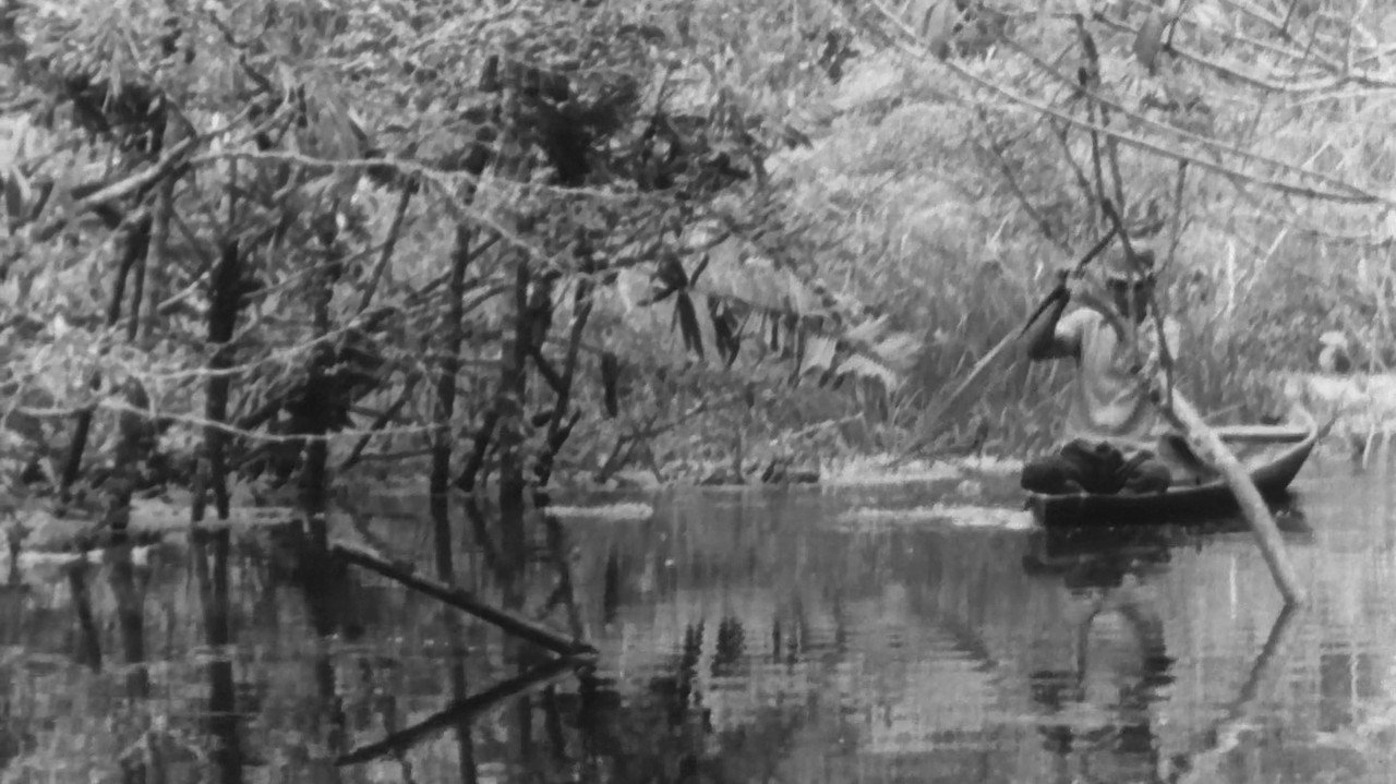 Canción al viejo fisga que acecha en los lagos amazónicos backdrop