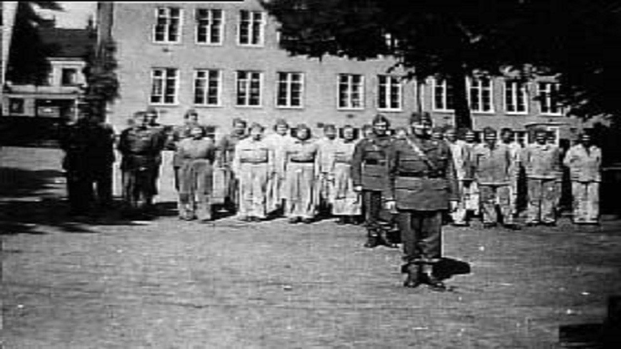 Förintelsens beska efterbörd - Röda Korset och svensk hjälpverksamhet 1945-1947 backdrop