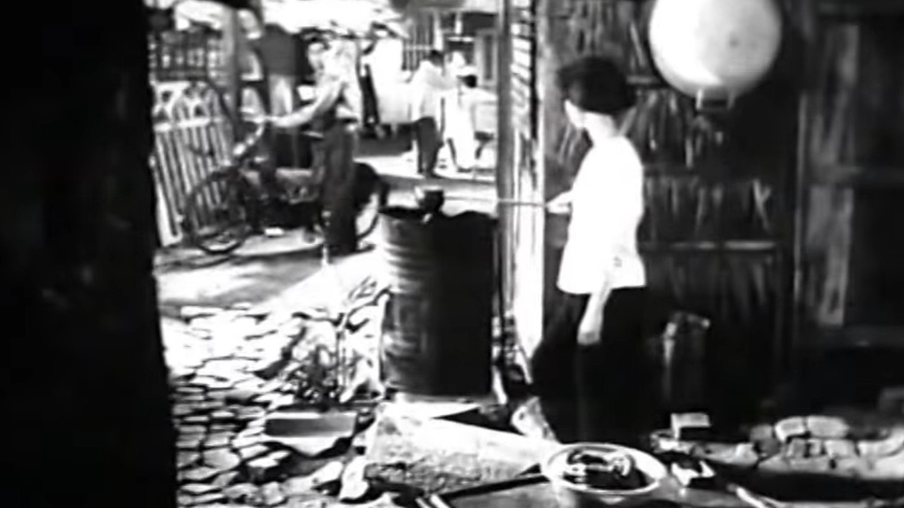 Nguyen Van Troi backdrop