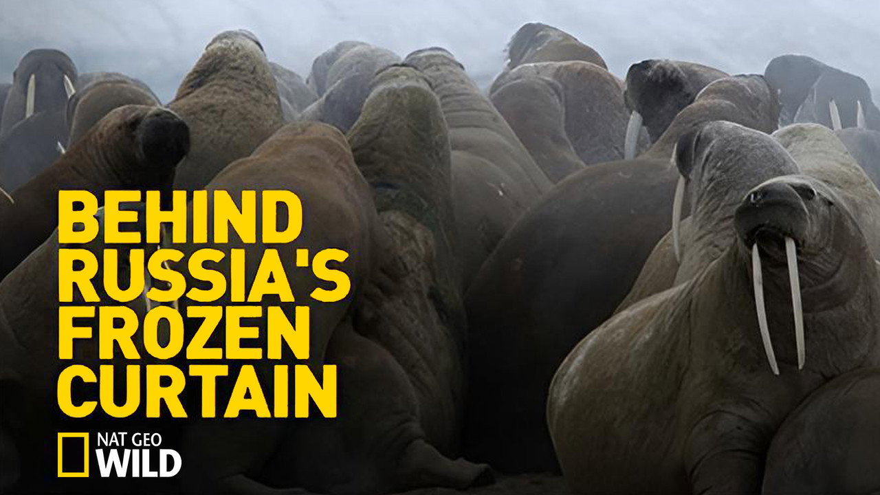 Behind Russia's Frozen Curtain backdrop