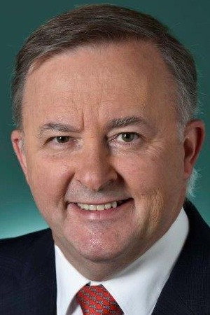 Anthony Albanese portrait