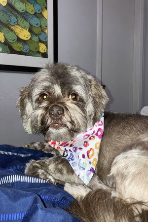 Cooper portrait