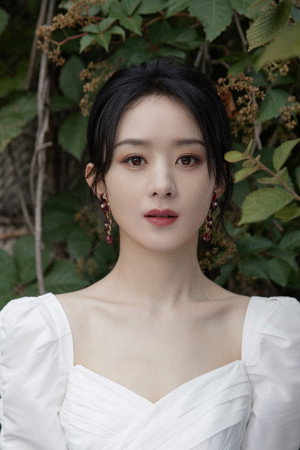 Zhao Liying portrait