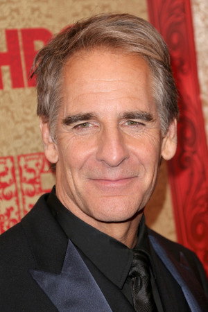 Scott Bakula portrait