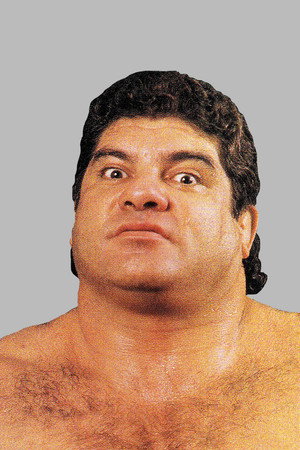 Don Muraco portrait