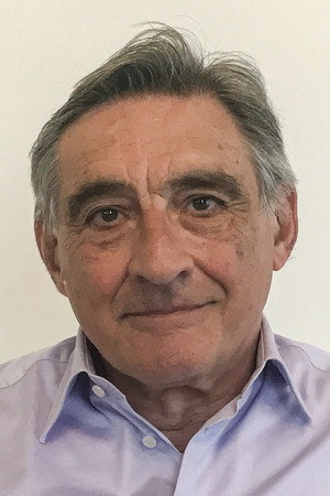 Ahmet İnsel portrait