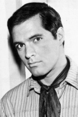 John Gavin portrait