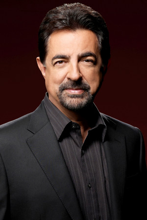 Joe Mantegna portrait