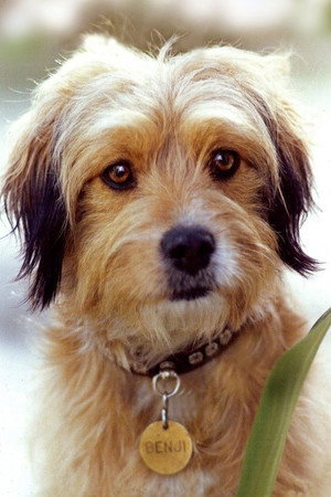 Benjean portrait